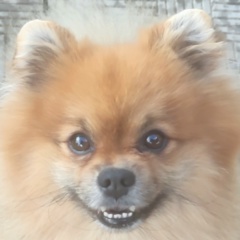 Константин Лукьянов, 18.10, Malé