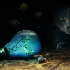 Таська Грушевський, 11.01.1994