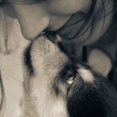 Ирина Шкуренко