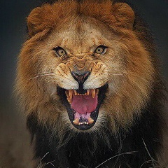 Канамат Блимготов, 15.03, Черкесск