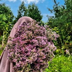 Ляйсан Зиганшина, Альметьевск