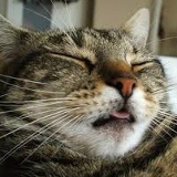 Ефросинья Горького, 01.08.2003