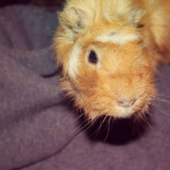 Никита Дюндик, 06.09.1990, Иркутск