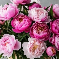 Екатерина Б, 09.01.1989, Новогрудок