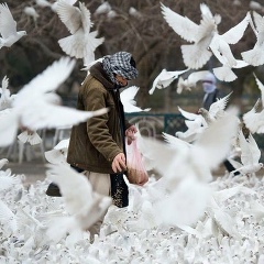 Хадишка Магомедова