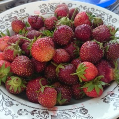 Вероника Уварова, 20.05.1983, Москва