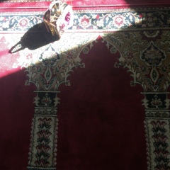 Ай Ли, 01.09, Уфа