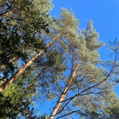 Marina Abdullina, 01.07, Санкт-Петербург