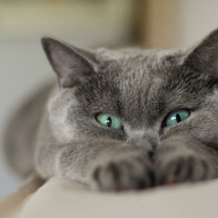 Катерина Лис, 01.11