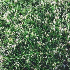 Елена Коновалова, 19.03, Санкт-Петербург