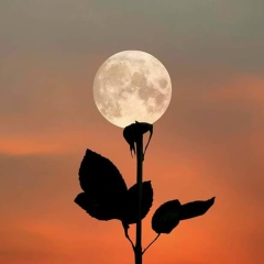 Aye Min, 27.11.1985, Monywa