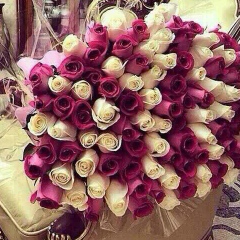 Алия Дауылбаева, 14.02.1979, Шымкент