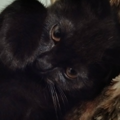 Егор Смирнов, 25.05.1971, Москва