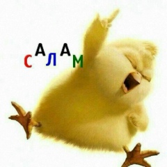 Эльвира Дюсембинова