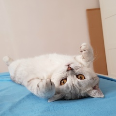 Рахима Нурканова, 25.10