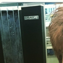 Ирина Радченко, 23.10