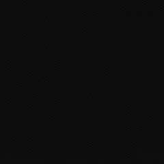 Екатерина Сорокина, 02.02.1984, Санкт-Петербург