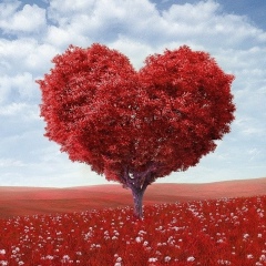 Настя Муленкова, 21.06