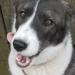 Денис Судариков, 27.09.1973, Санкт-Петербург