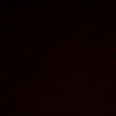 Regina Su, Казань