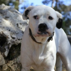 Галина Козлова, 08.12.1984, Новосибирск