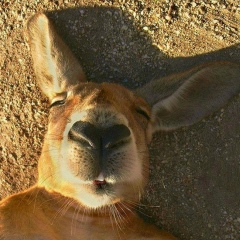 Тимур Кундетов, 16.08.1990, Пятигорск