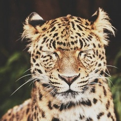 Вова Кузнецов, 14.09.1995, Одесса