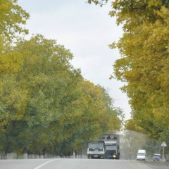 Рома Абдурахманов, 06.09.1989, Баку