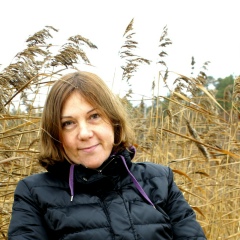 Елена Колкова, Санкт-Петербург