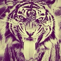 Мадина Умагишева, 26.02.1994, Москва