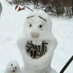 Владимир Чайковский, Москва