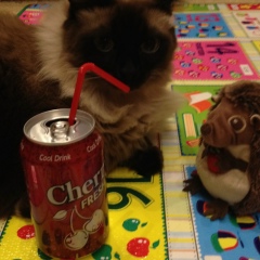 Дима Иванов, 28.05.1986