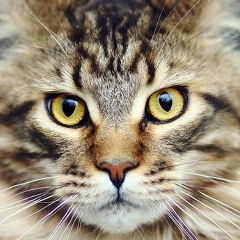 Ирина Нечунаева, 07.10