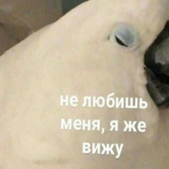 Марина Котова