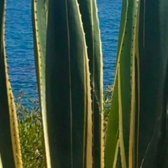 Наталия Бочкарева, 28.03, Саратов