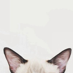 Катюша Лукьянова, 13.06.1985, Москва