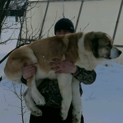 Григорий Плотников, 01.03.1986, Тюрлема