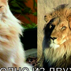 Haydar Haydar, 06.06.2002, Алматы