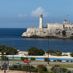 Ринка Ринка, 28.12