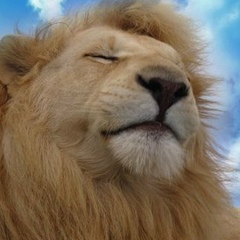 Батыр Тортаев, 04.02.1987, Когалым