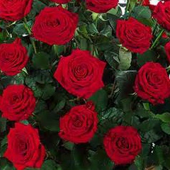 Begimai Abdykalykova, 18.09