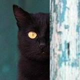 Катерина Кошка, 05.07.1987, Днепр (Днепропетровск)