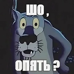 Андрей Пономаренко, 05.05.1974, Санкт-Петербург