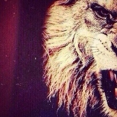 Ришка Мусаев, 10.04, Алматы