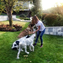 So Special, Москва