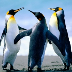 Даниил Иванов