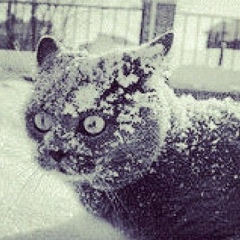 Александр Мосин, 26.04, Санкт-Петербург