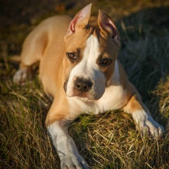 Владимир Поликарпов, 20.03.1981, Выборг