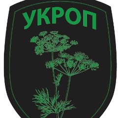 Андрей Ткаченко, Запорожье