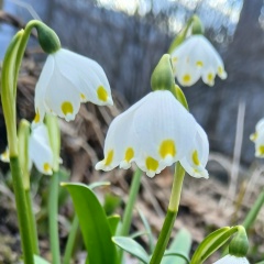 Ольга Яппарова, 03.07